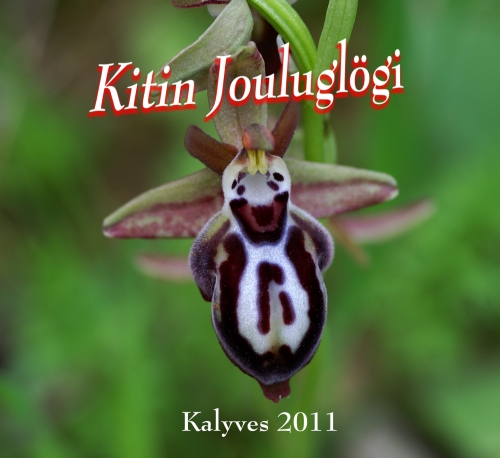 kitin joulujuoma small.jpg - 148323 Bytes